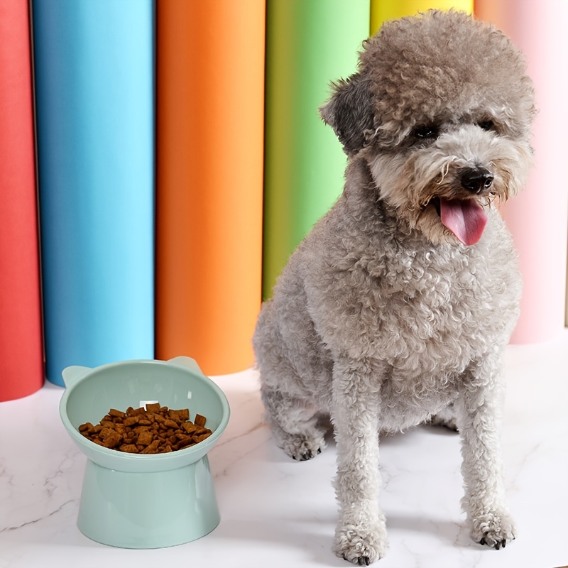 Alzatine Cibo Animali Domestici Cani E Gatti Ciotola Cibo - Temu Italy