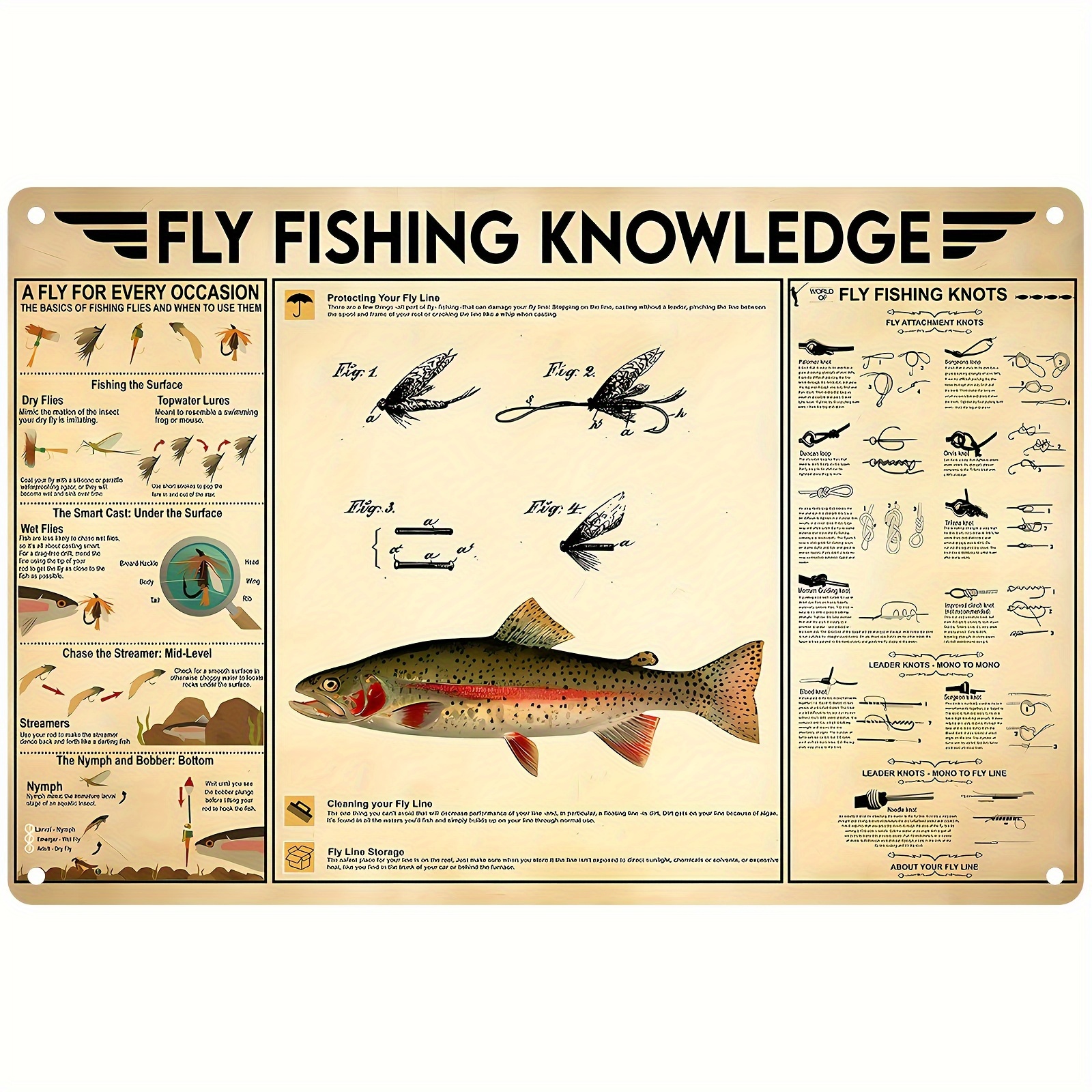 Fly Fishing Knowledge Fish Anatomy Fishing Facts Fisherman - Temu