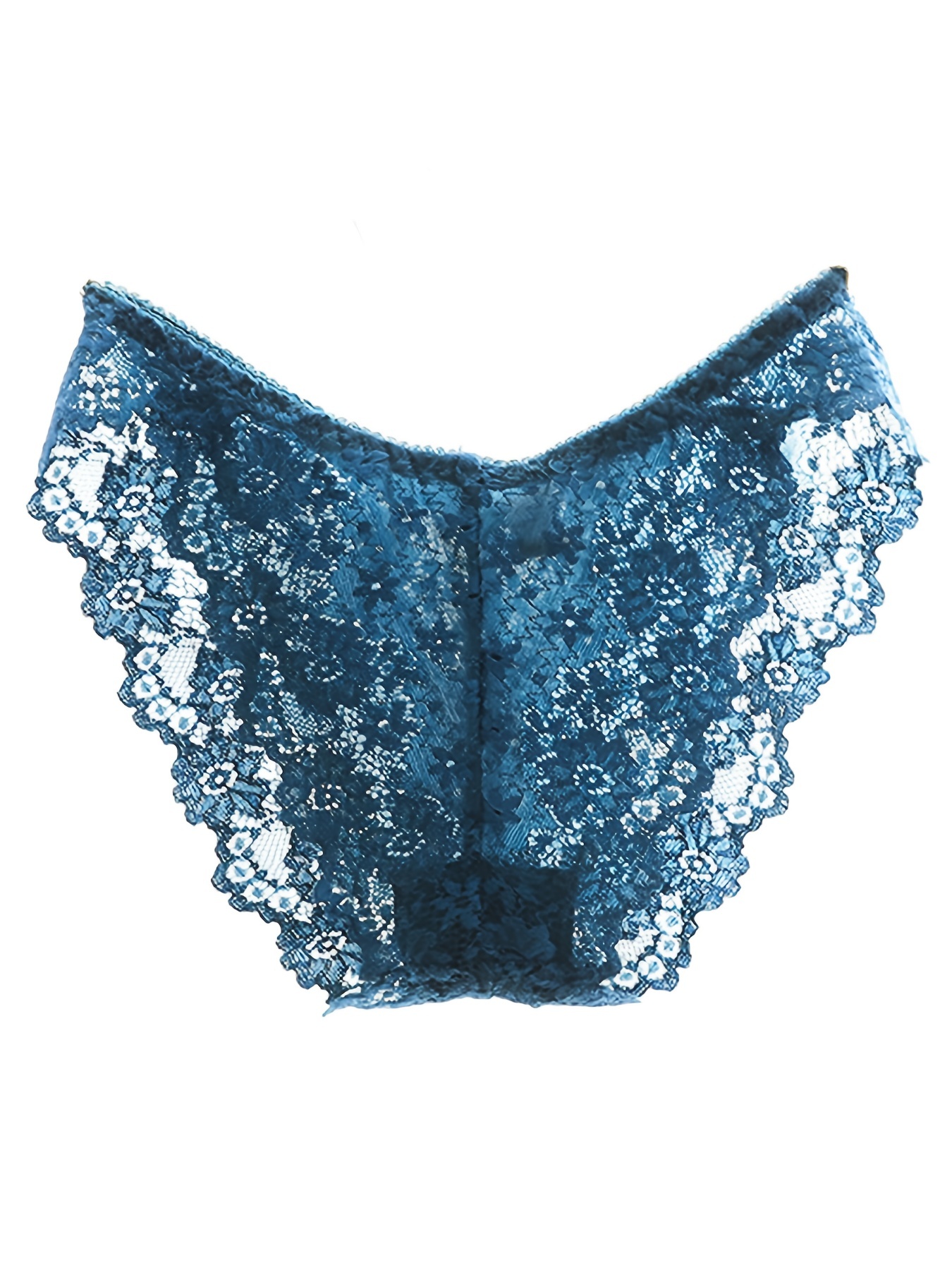 Plain sheer mesh high-cut bikini panty, Miiyu, Shop Bikini Panties Online