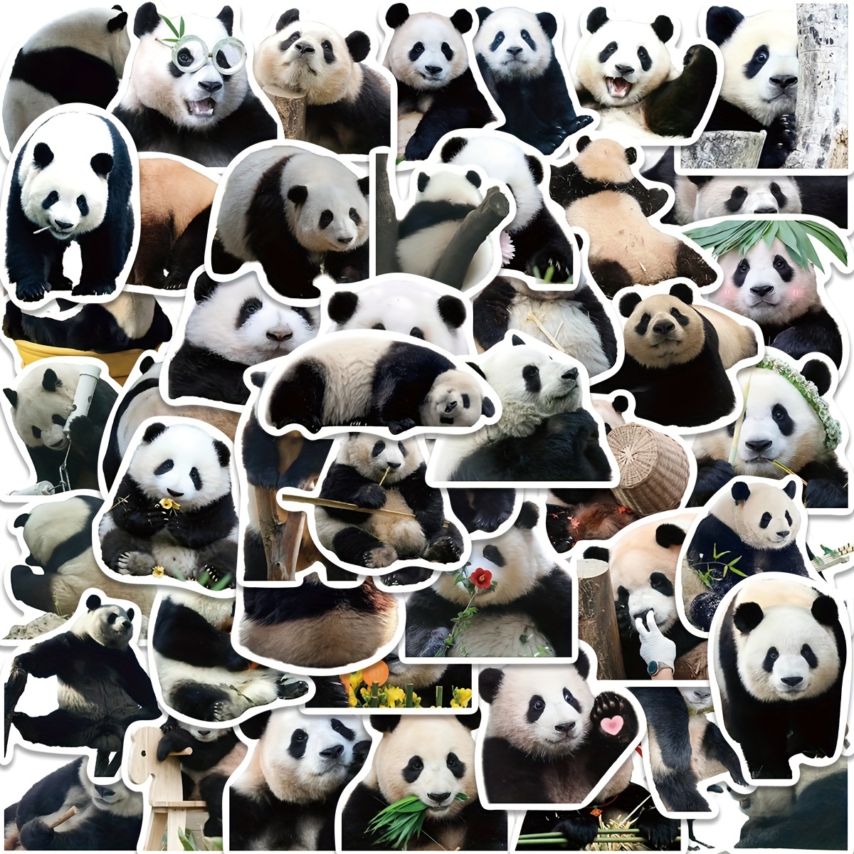 Panda Aufkleber - Kostenloser Versand Für Neue Benutzer - Temu Austria