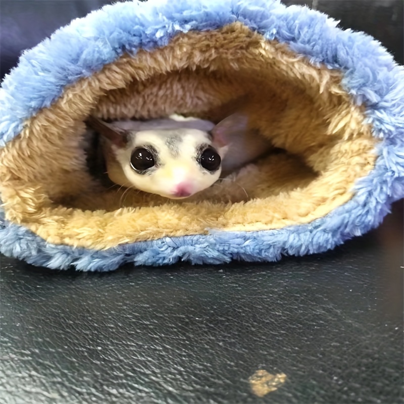 Mini 2024 sugar glider