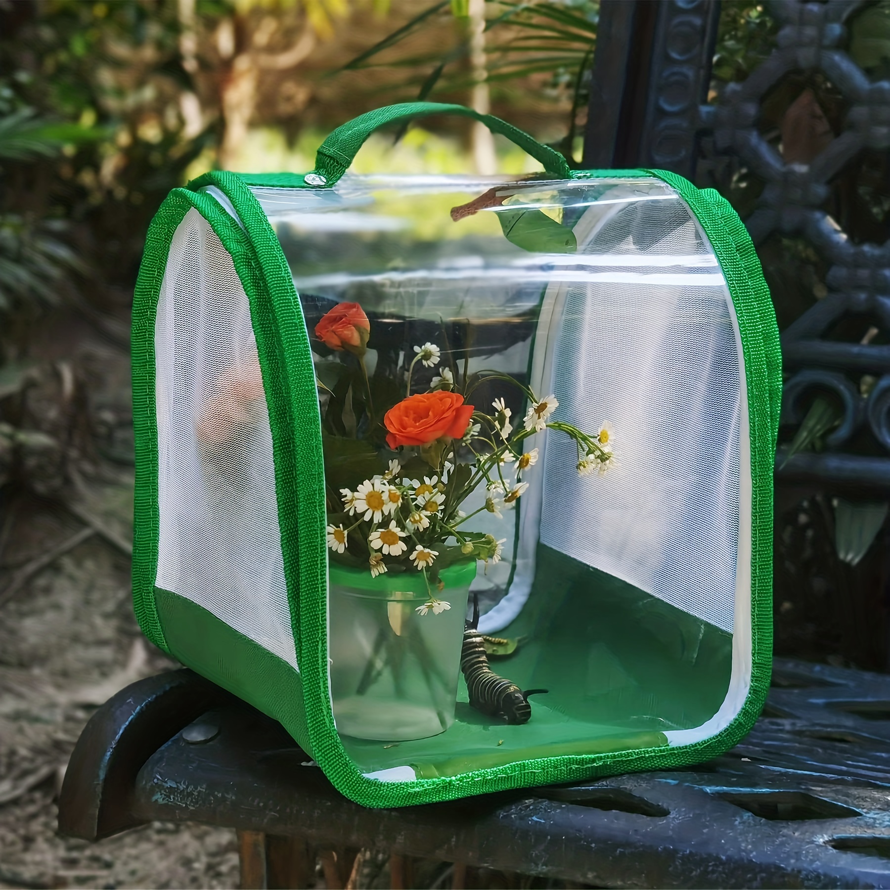 Butterfly Insect Catching Set Insect Cage Catching Butterfly - Temu