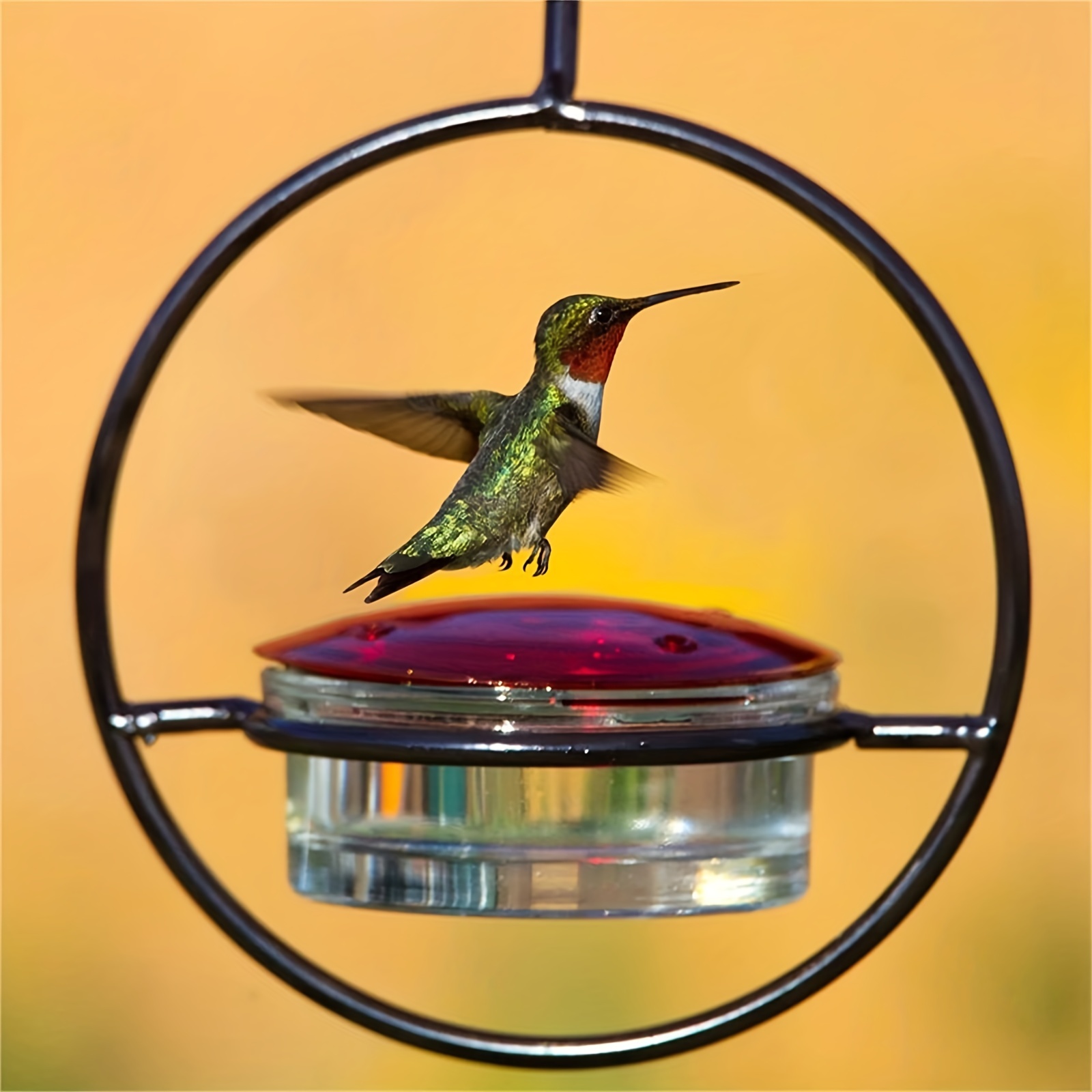 Pot D'eau Suspendu En Métal, Mangeoire Pour Oiseaux, Extérieur, Ferme,  Colibri, Décor D'automne 1 Pièce - Temu Belgium