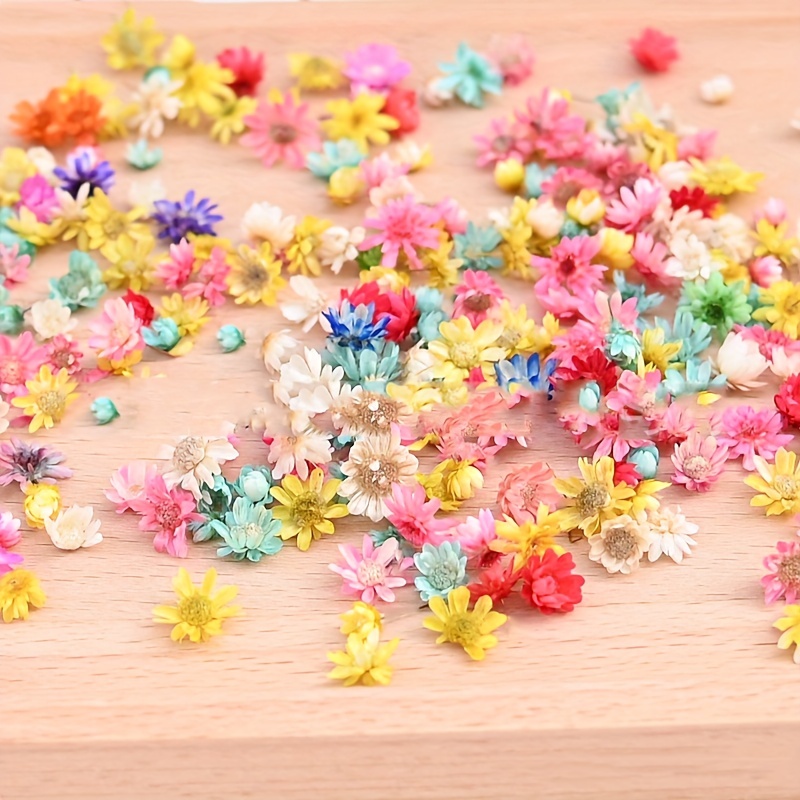 Vibrant Dried Flowers Diy Crafts Nail Art Candles Soaps - Temu