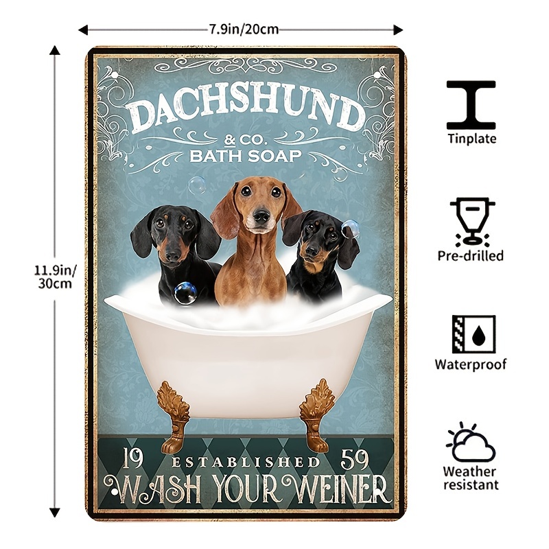 Dachshund 2024 lovers club