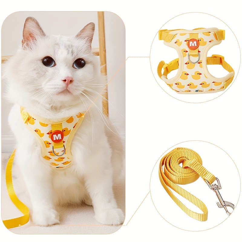 Gatos - Accesorios de paseo - Arnes para gatos - Pethome