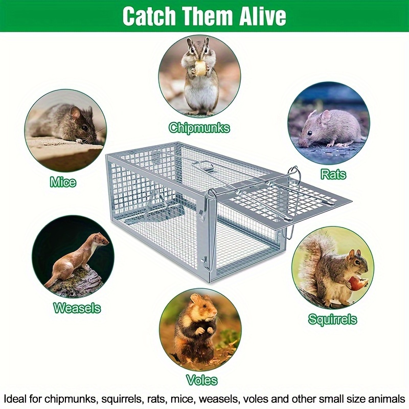 2 Type Humane Rat Trap, Chipmunk Rodent Trap That Work For Indoor And  Outdoor Small Animal - Mouse Voles Hamsters Live Cage Catch And Release