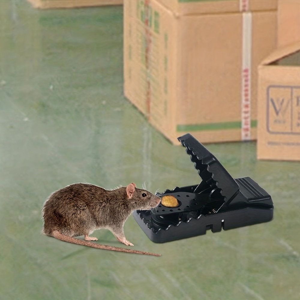 Mouse Traps For Home Safe And Reusable Rat Traps Humane Mice