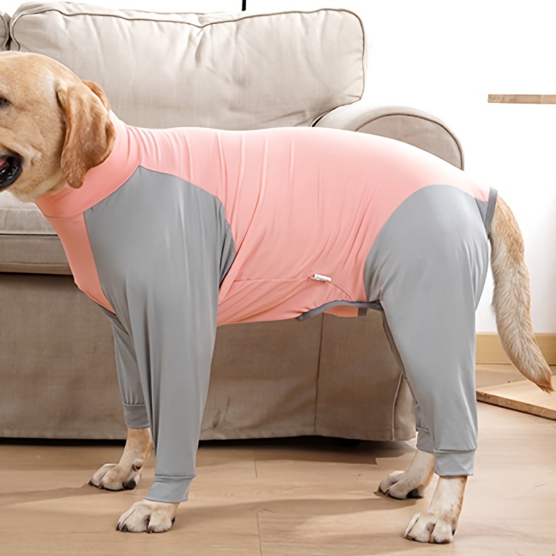 Dog onesies 2025 after surgery