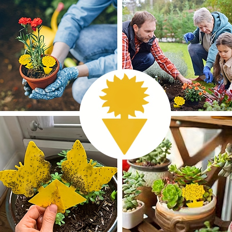 Double-sided Yellow Board Sticky Insect Board, Balcony Planting