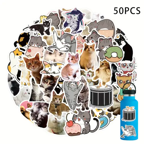 Student Reward Laptop Cat Sticker - Temu