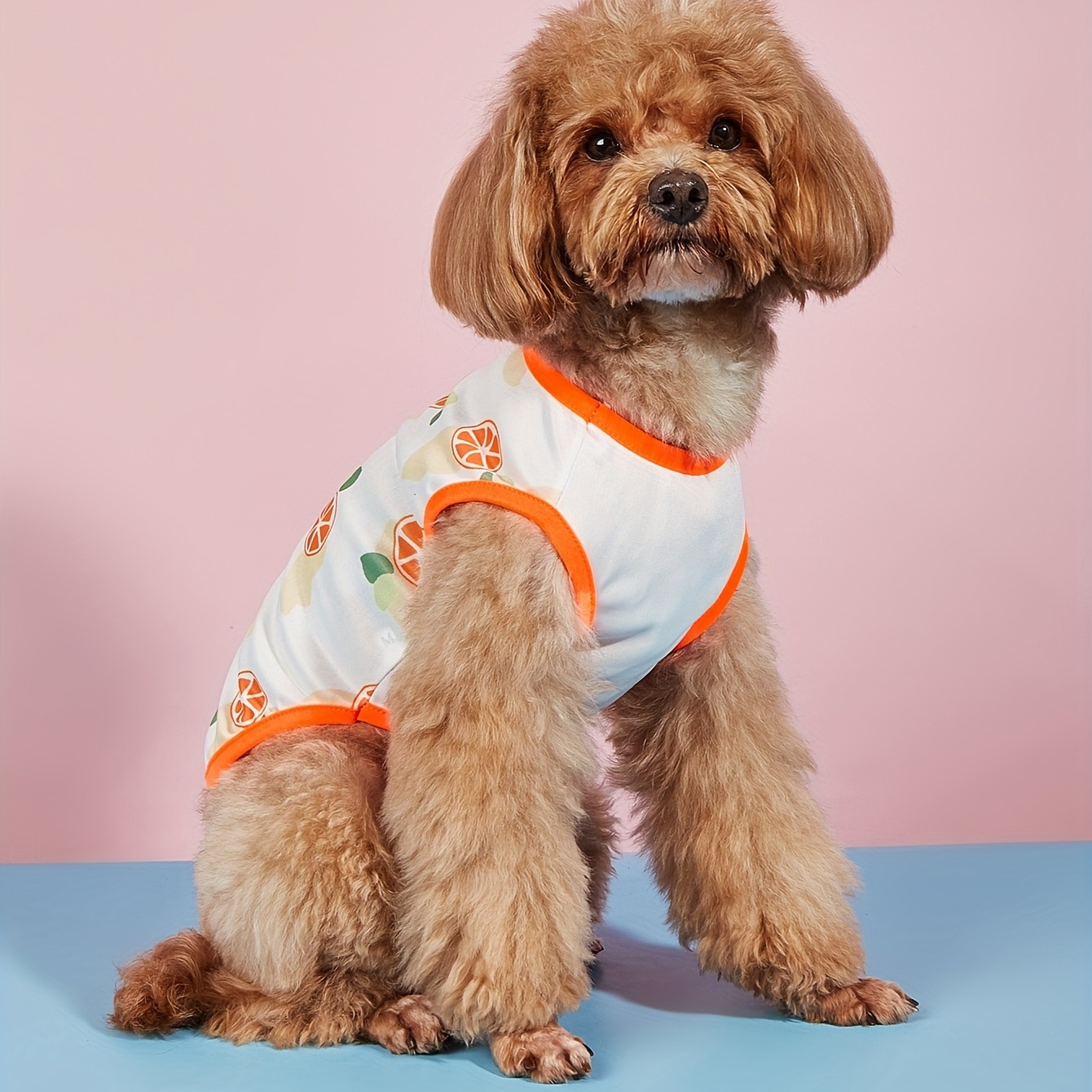 1pc mascota fruta naranja chaleco perros pequeños Temu Dominican