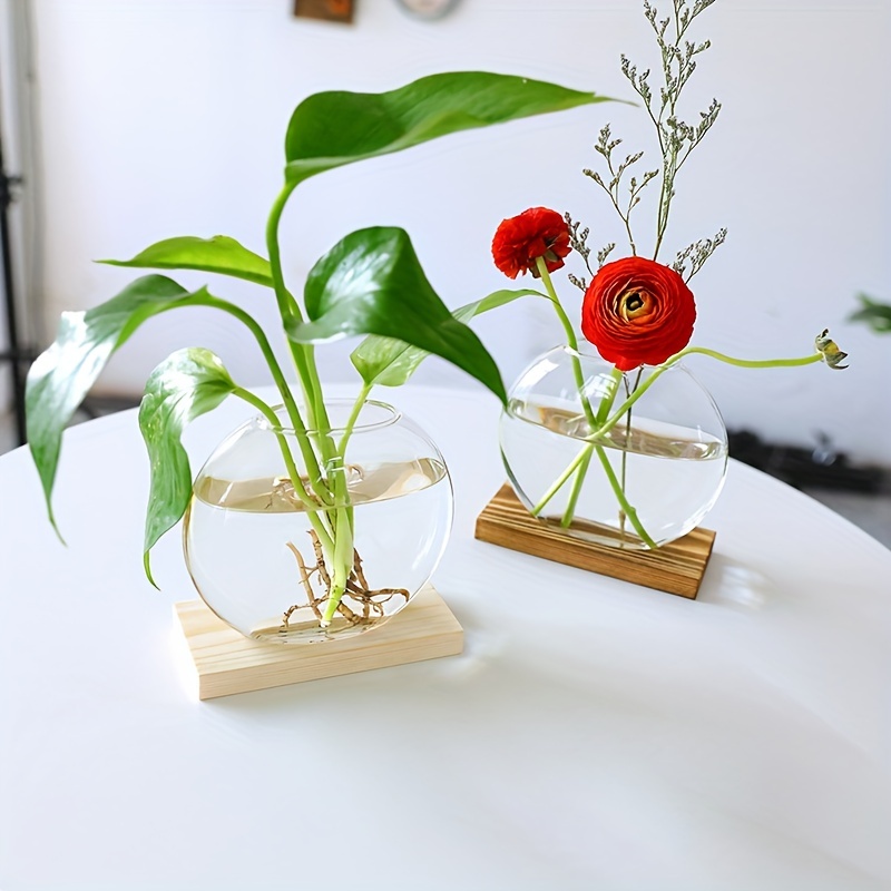 Vintage Tabletop Plant Terrarium: Add A Touch Of Nature To - Temu