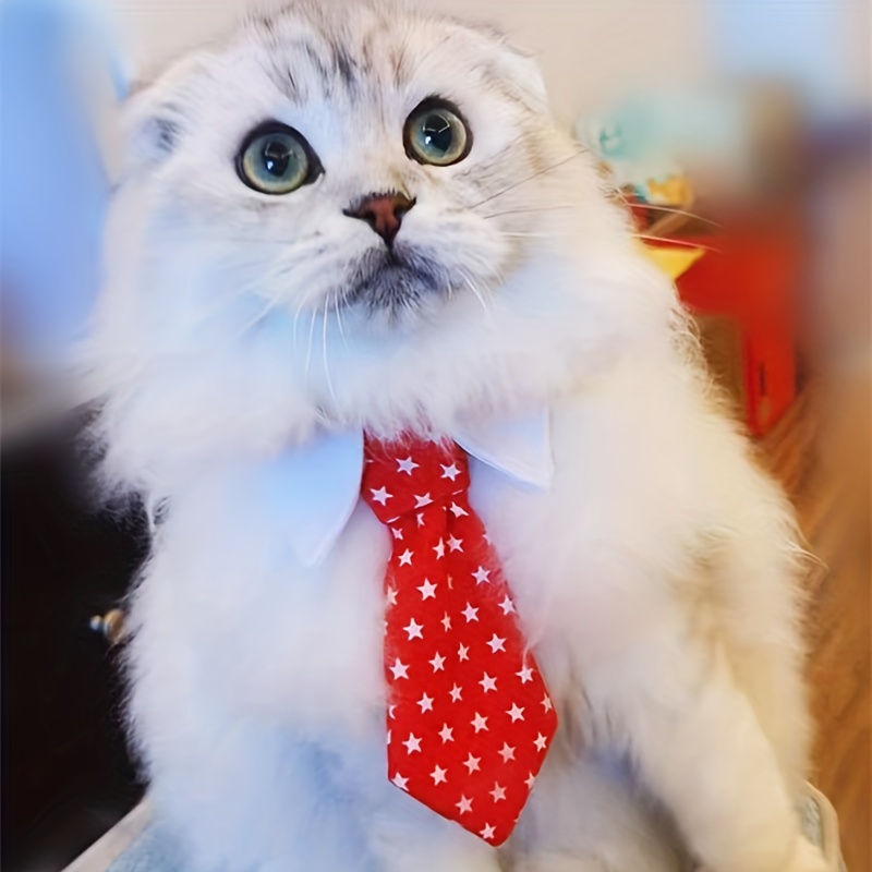 Cravate pour chien ou chat  Ya pas que la taille qui compte