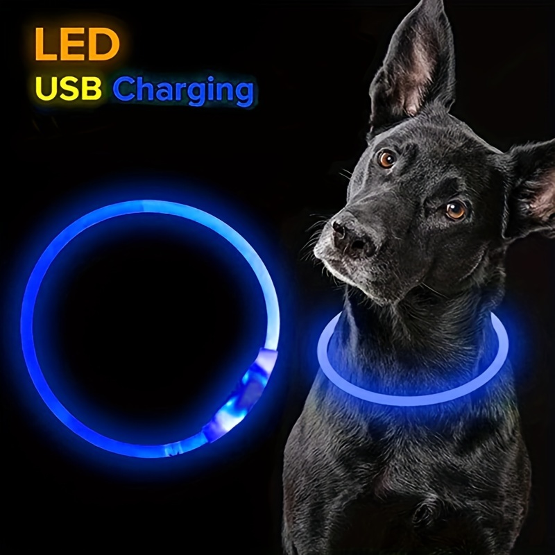 Collier pour chien à LED, colliers lumineux pour chien, lumières