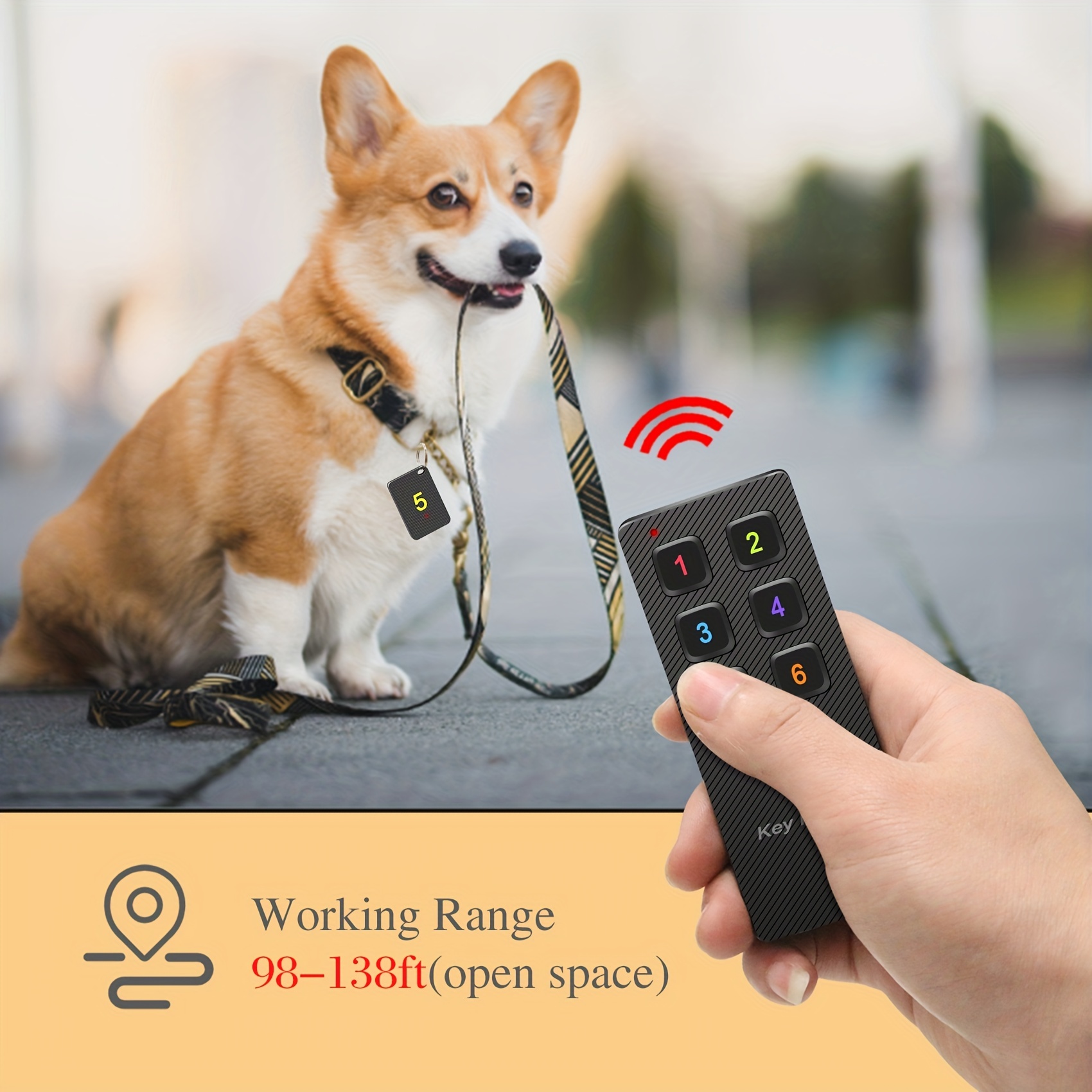  Esky - Localizador inalámbrico de artículos, llaves o mascotas  con control remoto (1 transmisor de RF y 6 receptores) : Electrónica
