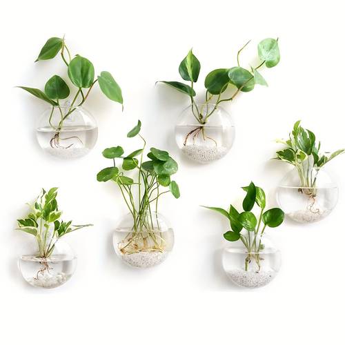 2pcs 4pcs wall mounted glass vase set for hydroponic plants home office living room decor round planters for indoor and outdoor use housewarming gifts or plant themed d cor