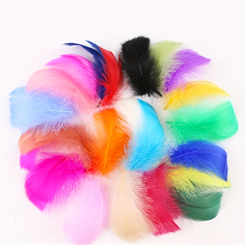 Cheap 200Pcs 4-6 Inch Feathers for Crafting Mixed-Colors Feathers
