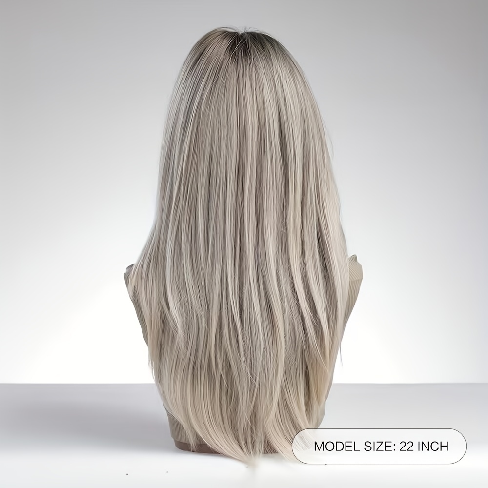 Layered Gradient Gray Brown Hair Wig for Women 55 88 Cm