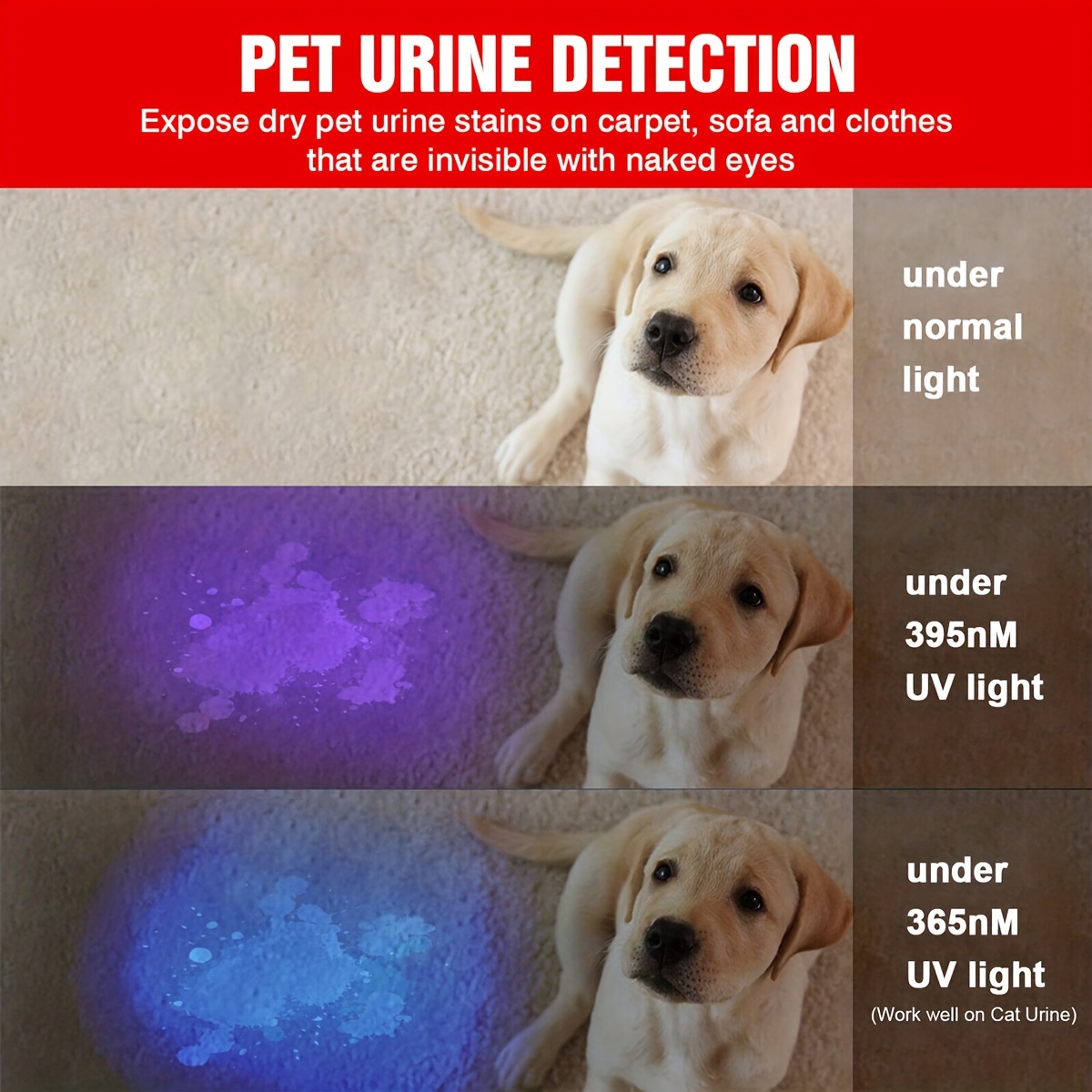 Linterna UV Luz Negra Recargable 365 Nm Antorcha De Mano Ultravioleta  Portátil Para Detector De Orina De Perro Manchas De Mascotas Insectos De  Cama 220808 De 7,25 €