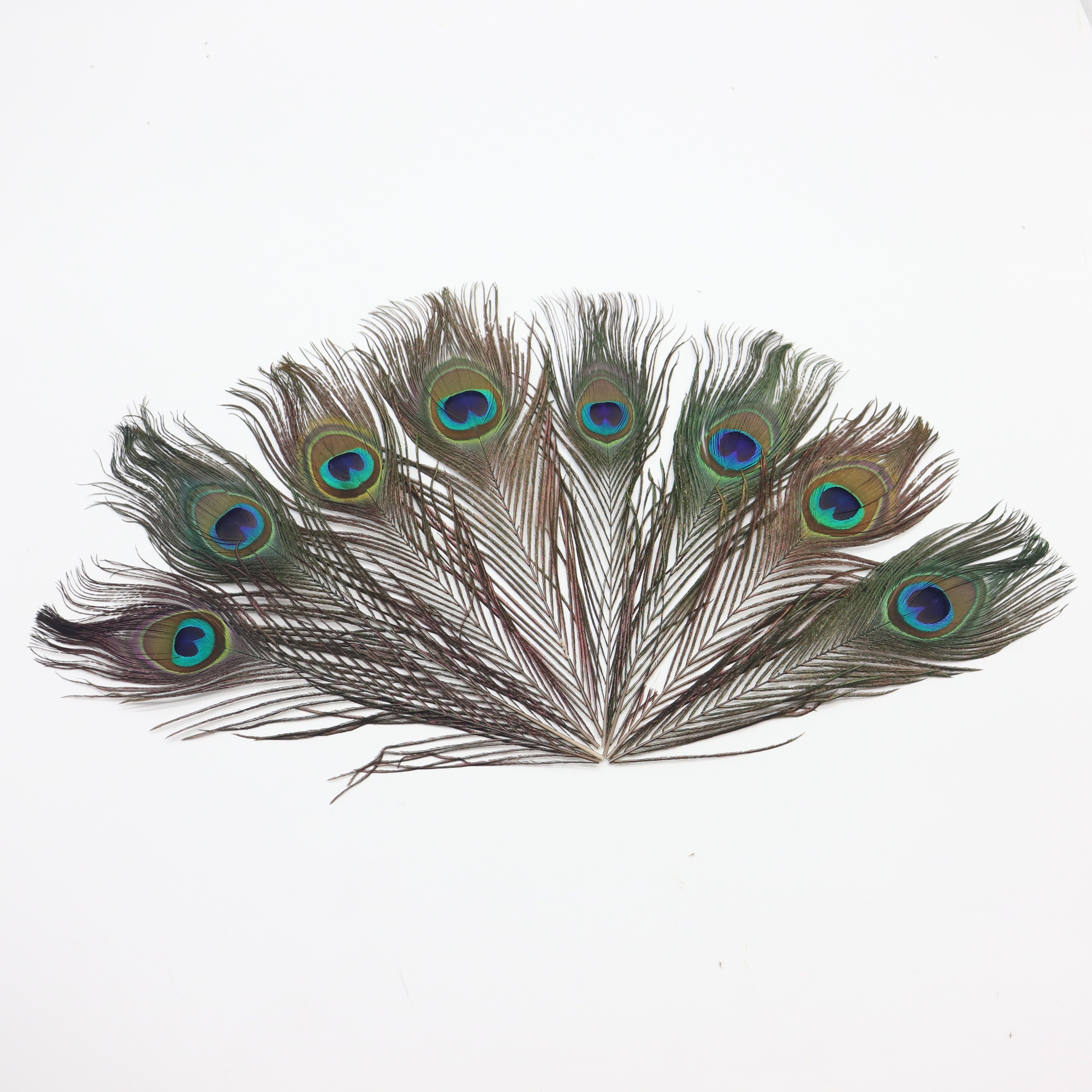 Beautiful Diy Real Peacock Feathers Crafts Handwork Party - Temu