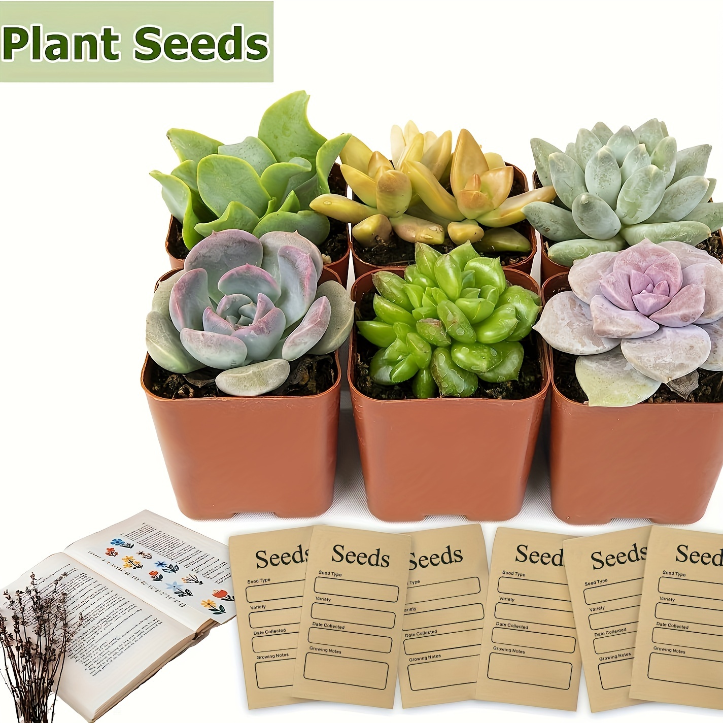 Seed Envelopes Resealable Self Sealing Seed Envelope Seed - Temu