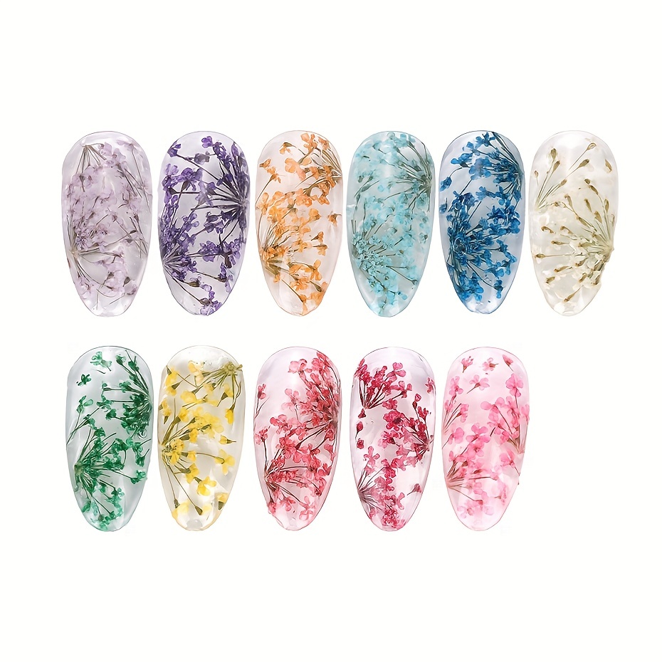 12 Color 3d Dried Flower Nail Art Charms Dried Flower - Temu