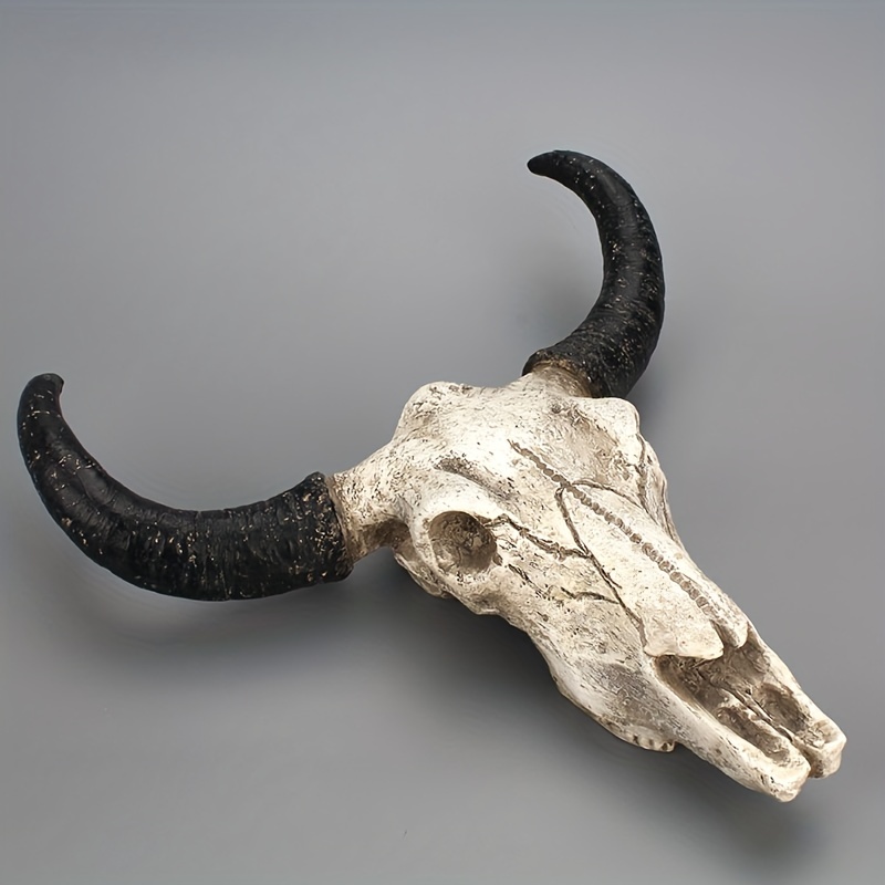 animal skulls with horns