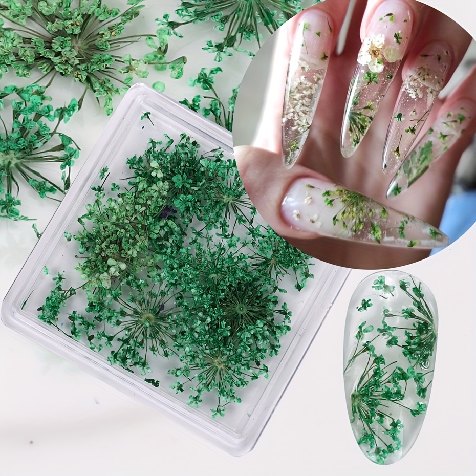12 Colors Real Dried Flowers 3D Nail Art Decors Design DIY Tips
