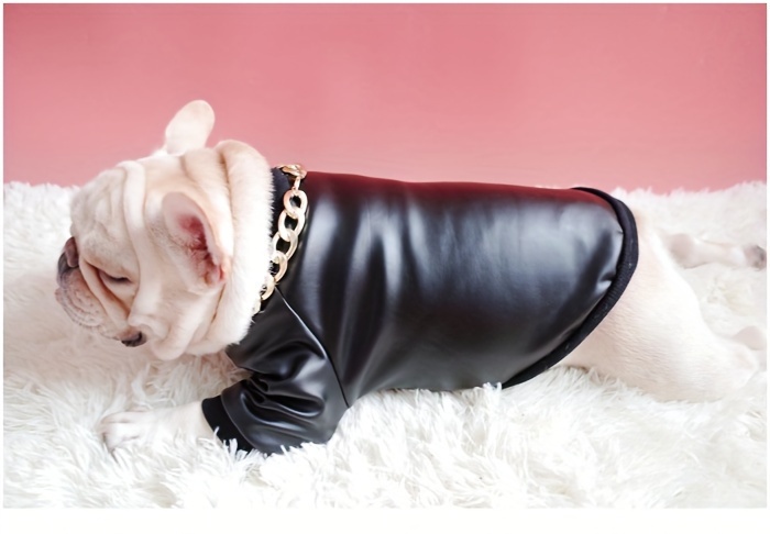 Bulldog Francese' Pochette in tela/custodia per accessori (CL00016381) :  : Moda