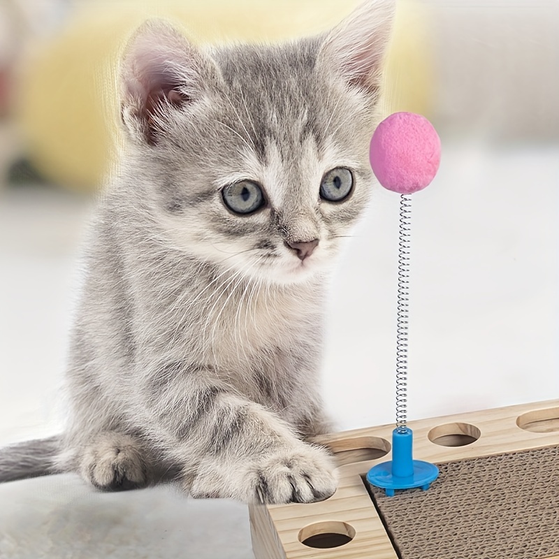 Cat Activity Play Mat Cat Teaser Wand Cat Interactive Toys For Indoor Cat -  Pet Supplies - Temu