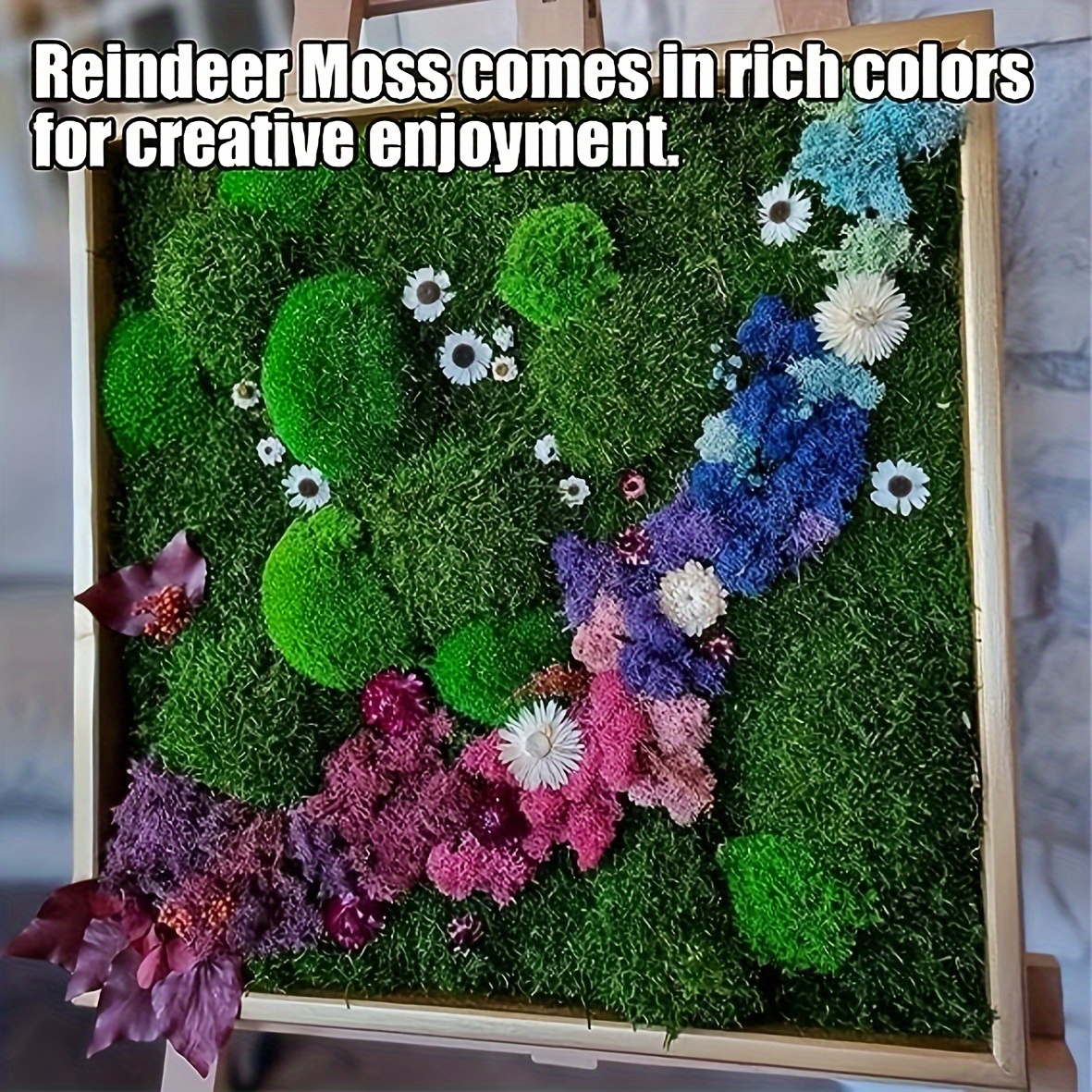 Preserved Reindeer Moss Floral Moss | DIY Terrarium Supplies | Art Wall Decor | Wedding Decor Green / 8 oz Bag by Succulents Box