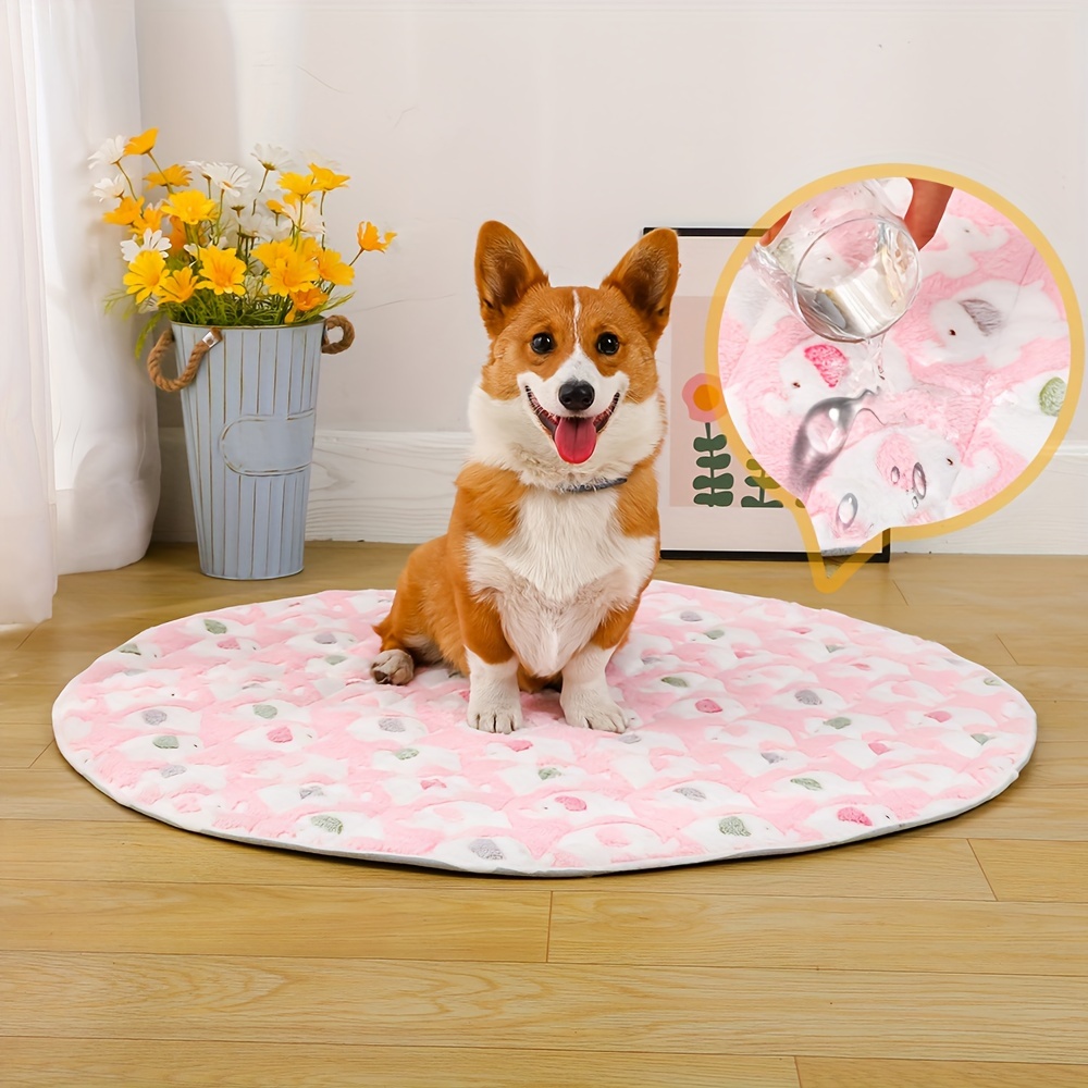 Washable Waterproof Pet Mats: Keep Your Dog Or Cat Comfy And - Temu