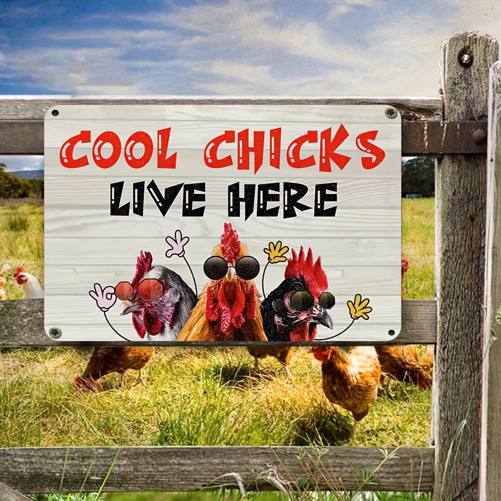 Petitian Regalos divertidos de pollo para amantes del pollo, mujeres y  hombres, ideas de regalo divertidas con temática de pollo asador, niñas  para
