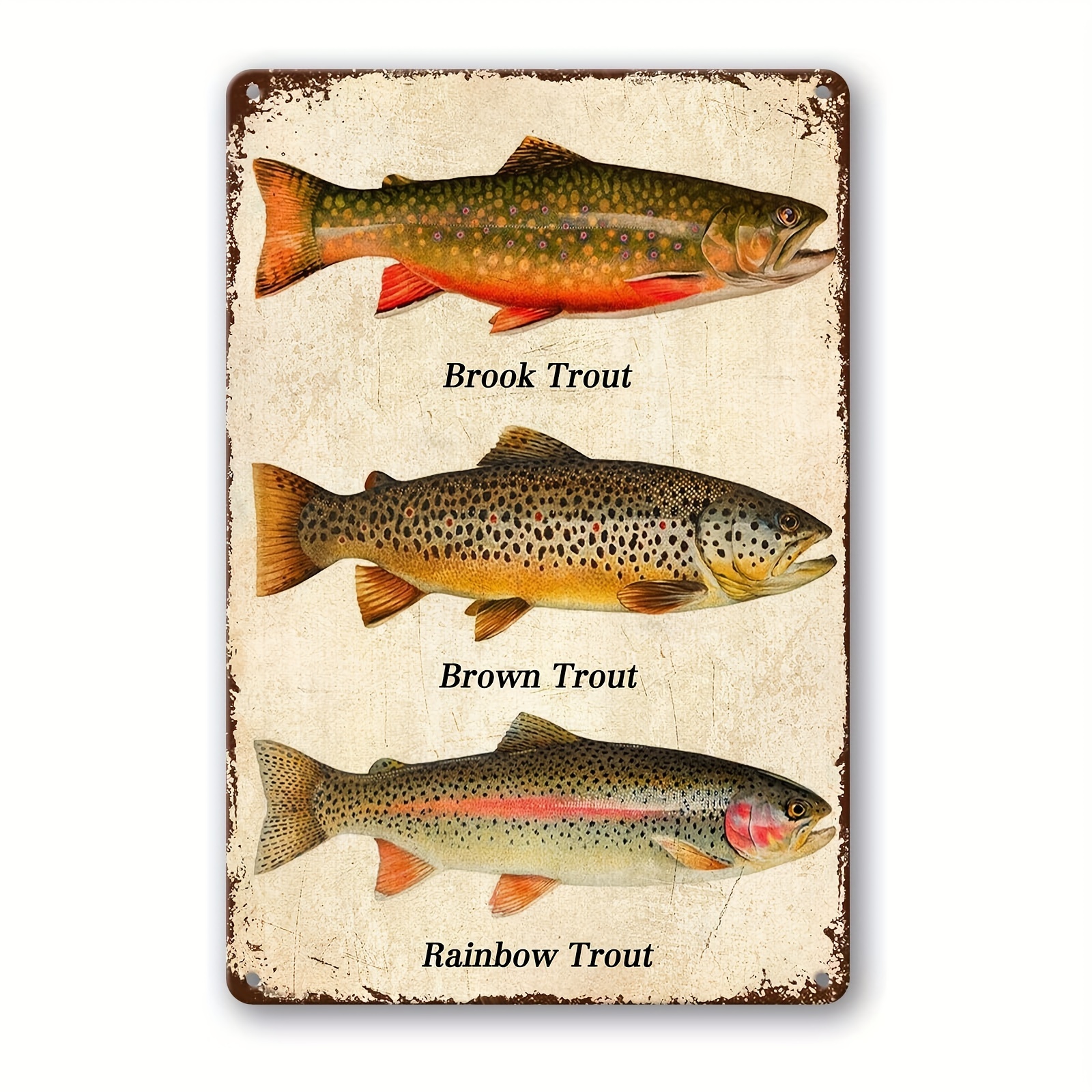 Trout Knowledge Metal Poster Anatomy of A Rainbow Trout Retro Tin Sign School Science Education Dining Room Living Room Bathroom Home Art Wall