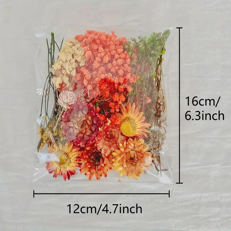 Mini Dry Flowers 8 Bundles of Natural Real Dried Flowers Scrapbook