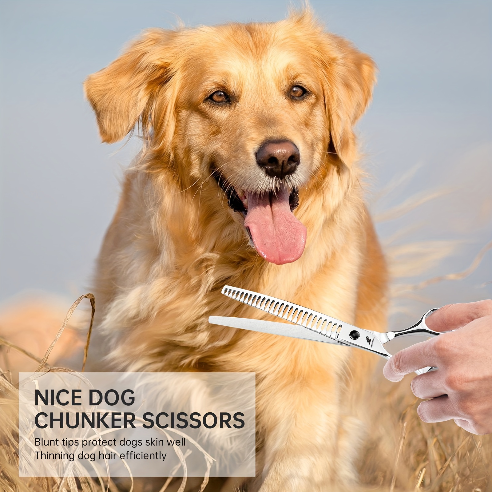 Dog Skin Dog Losing Hair On Neck Hair Loss In Dogs: Causes