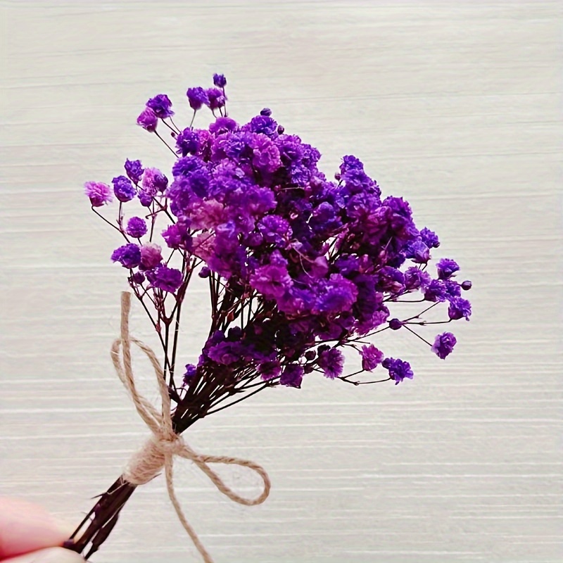 8Types Mini Dried Flowers for Bridesmaids Flower Girl Natural Dry Mini  Bouquet for Desk Home Office Party Decoration Photo Props - AliExpress