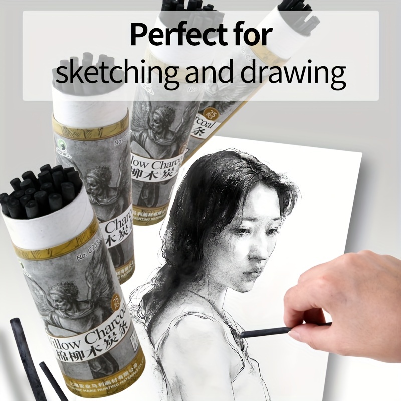 Artist Vine Charcoal Sticks Medium Black Willow Sketch Charcoal Pencils for  Kids Adults Drawing Sketching Fine Art 25pcs 