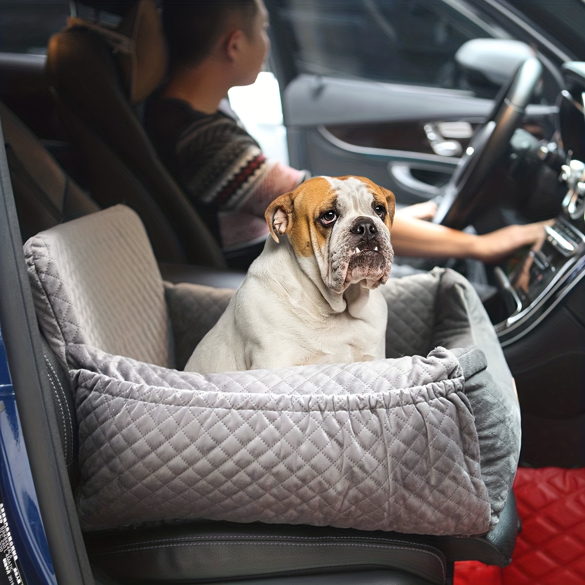 Siège d'auto pour chien, rehausseur de siège d'auto pour chien