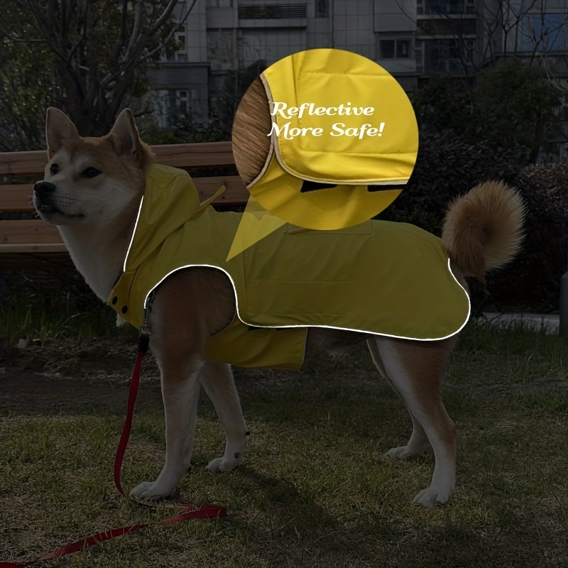 Dog raincoat on sale with umbrella attached