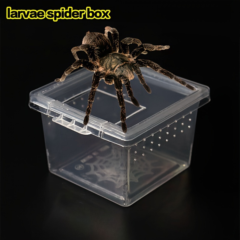 Spider Feeder Box Spider Habitat Breeding Boxes Jailbreak - Temu