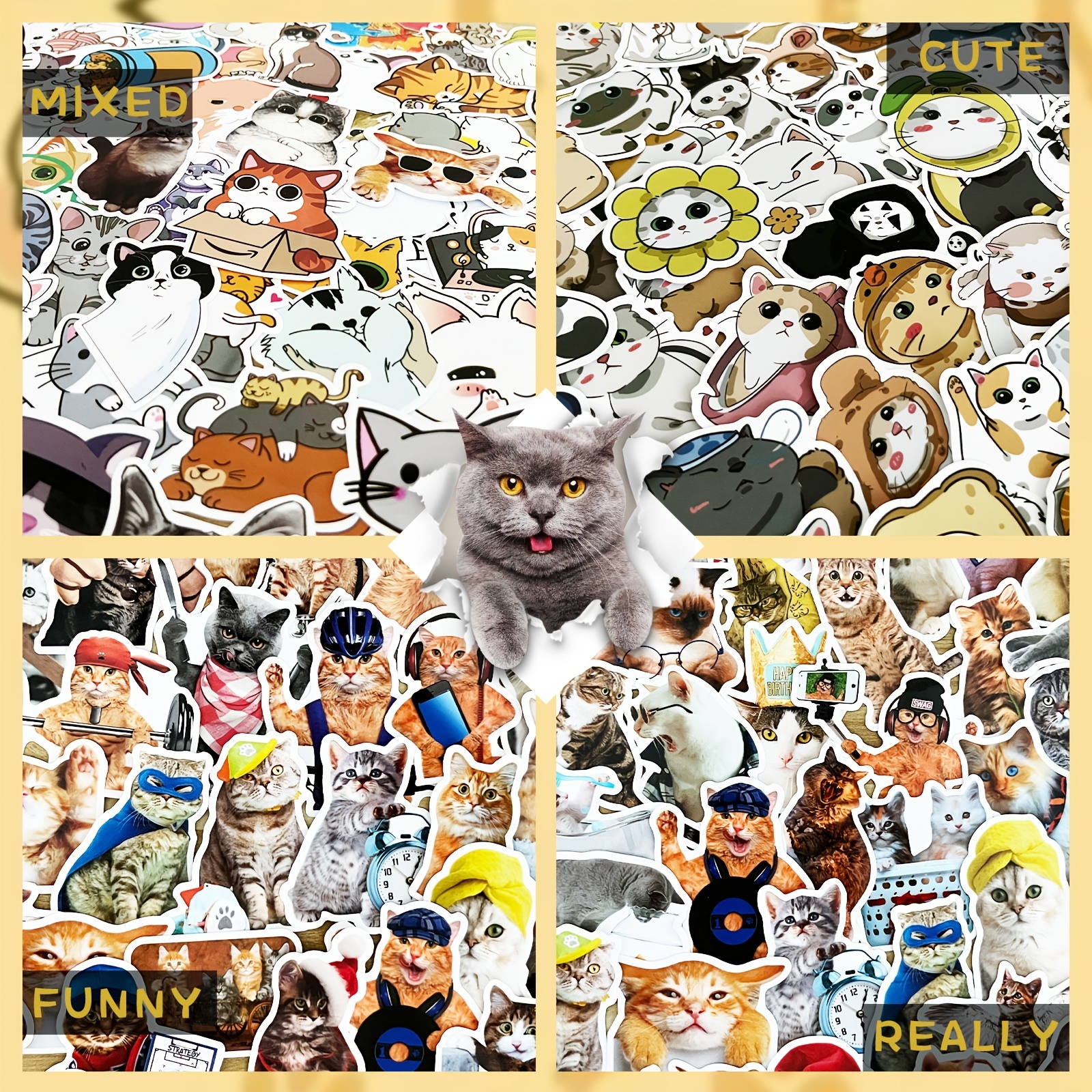 Silly Cat Fam – LINE stickers