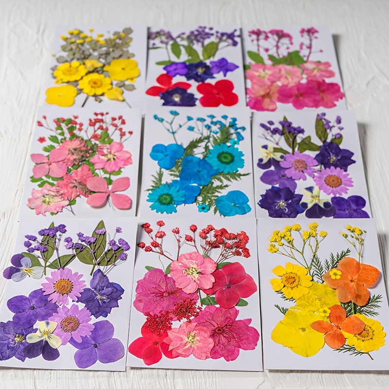 Pressed Flowers Resin Flowers For Resin Mold Real Pressed - Temu