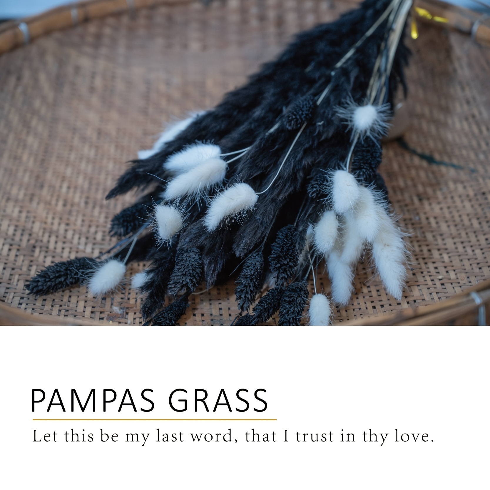 Black Pampas Grass Gothic Flower Decor For Living Room Dried - Temu