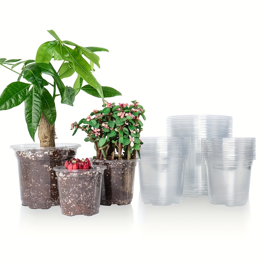 50 Pots de Pépinière de Plantes en Plastique, 4 5 Pots de Départ de Graines  de 6 Pouces, Contenant de Plantes à Fleurs pour Plantes d'Intérieur (Noir,  4 Pouces / 10 Cm) Noir 4 Pouces 