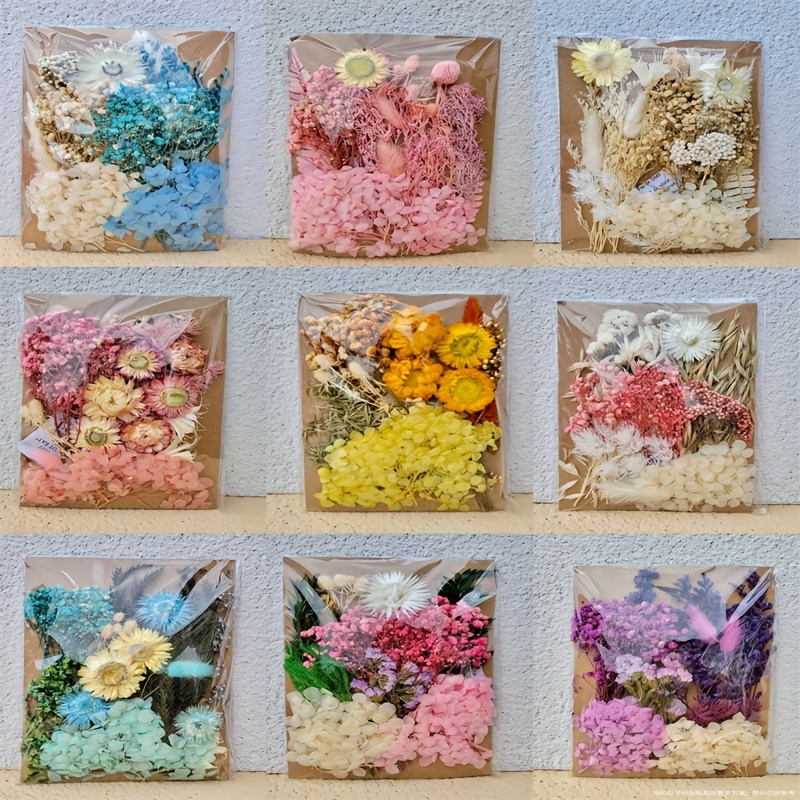 Dried Pressed Flowers Natural Colorful Pressed Flowers For - Temu