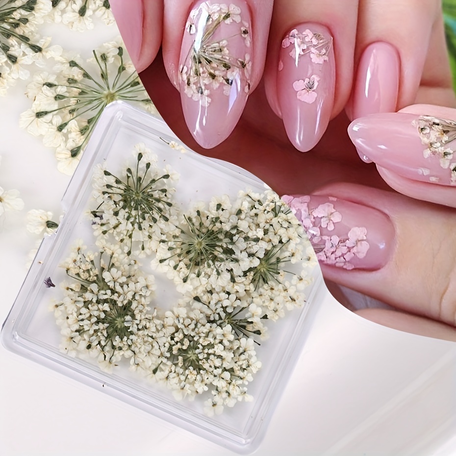 Natural Colorful Dried Flowers For Nail Art Decorations Diy - Temu