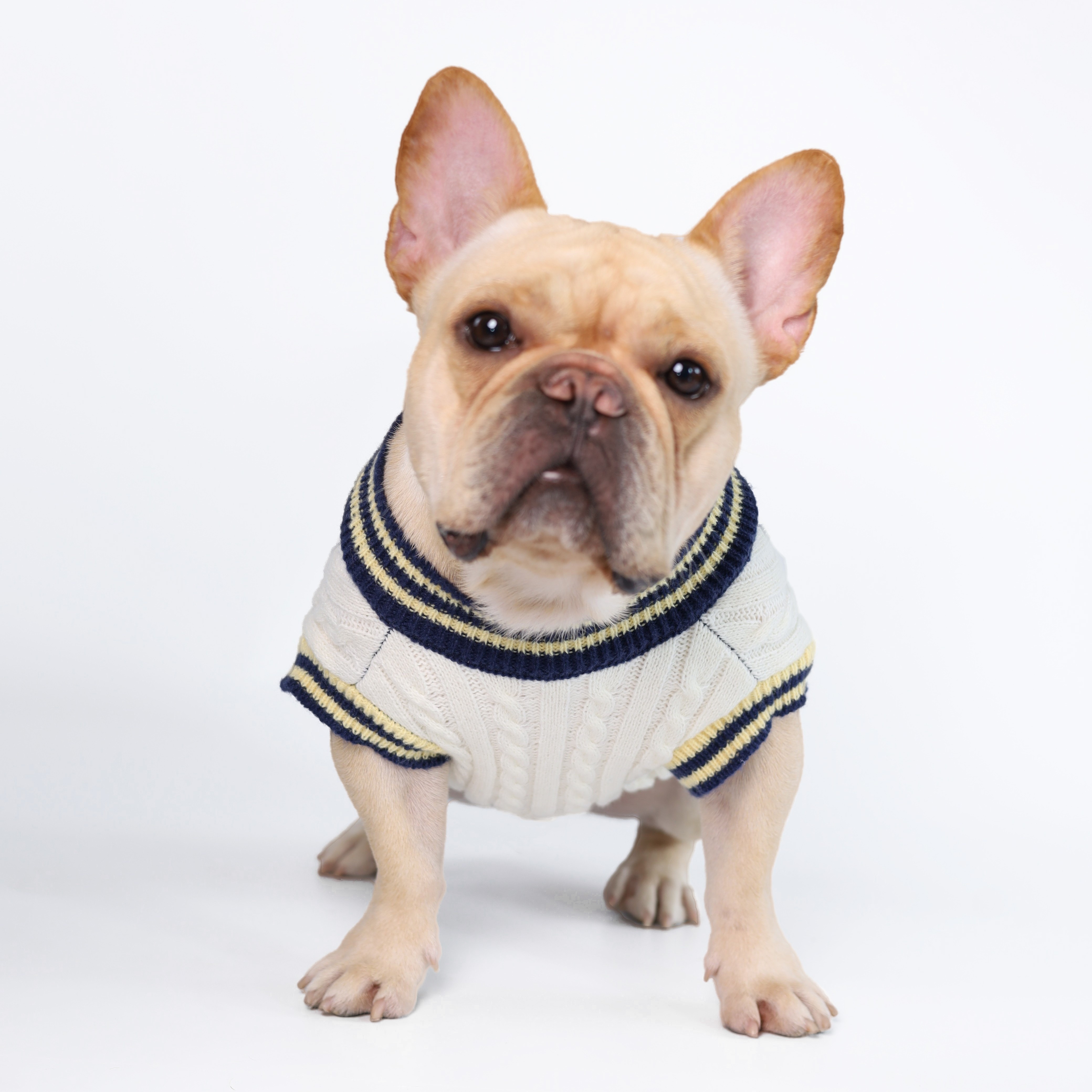 Preppy best sale dog clothes