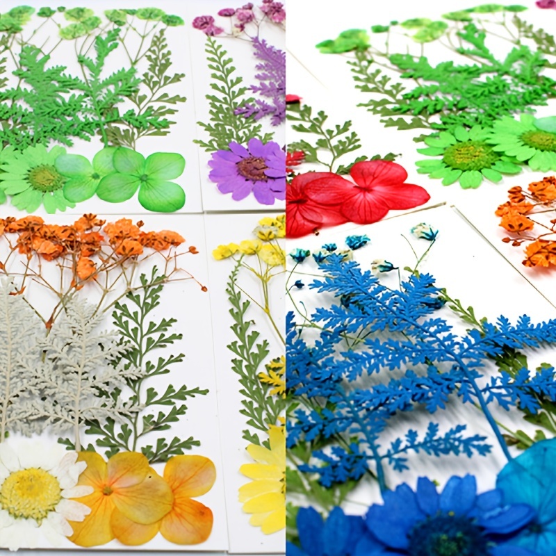  SEWACC 9 juegos de flores secas en relieve de resina,  decoración de plantas, flores secas para resina, espécimen de plantas secas  para resina, flores secas decorativas para resina, marcapáginas para  teléfono 